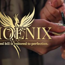 Phoenix by Higar and Hanson Chien (RMB China)