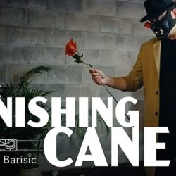 Vanishing Cane, Stage by Bojan Barisic and Stage Elegance