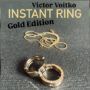 Instant Ring, silver/gold, Size 11 by Viktor Voitko 76931-full.png