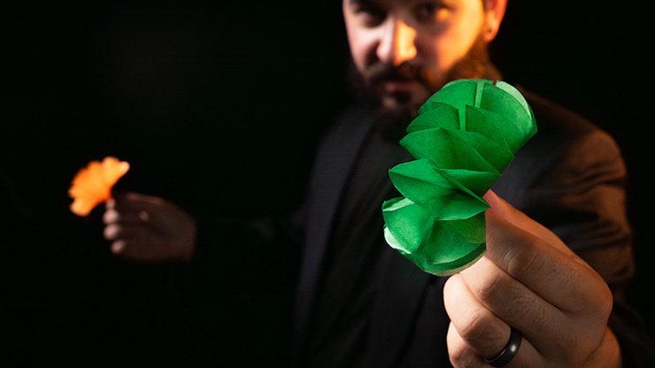 SPRING FLOWERS, 2 PK PAPER by Murphy's Magic - Image 5