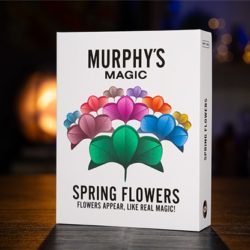 SPRING FLOWERS, 2 PK PAPER by Murphy's Magic