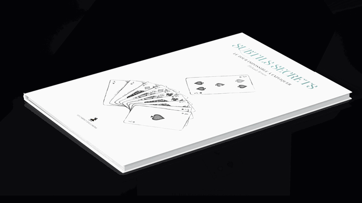 Subtle Secrets 2 by Thibault Ternon - Image 2