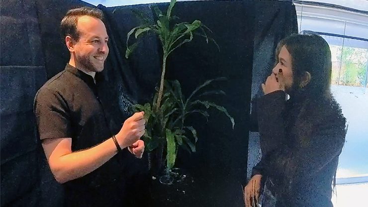 Echo Book Test by Vincent Hedan (Tarot de Marseille) - Image 3