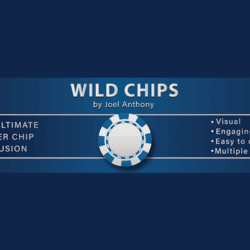 Wild Chips by Joel Anthony