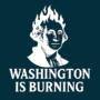 Washington is Burning by Ty Gallenbeck video (Download) 79435-full.png